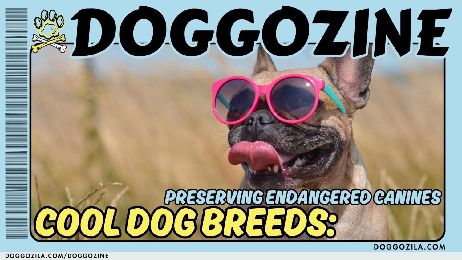 cool dog breeds