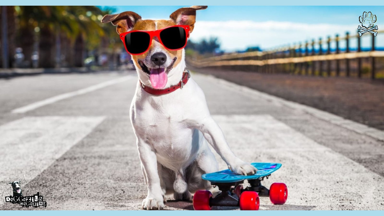 skater dog