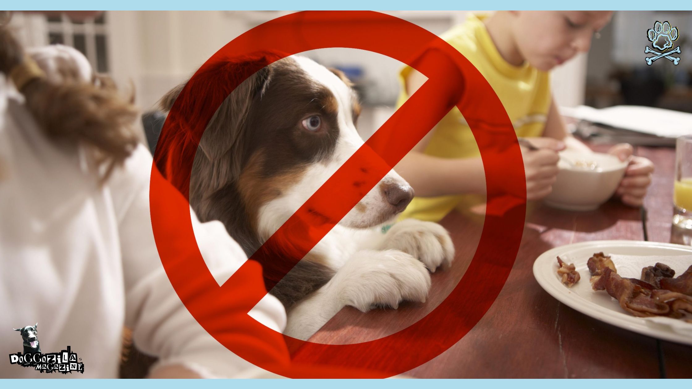 stop unhealthy dog behaviors