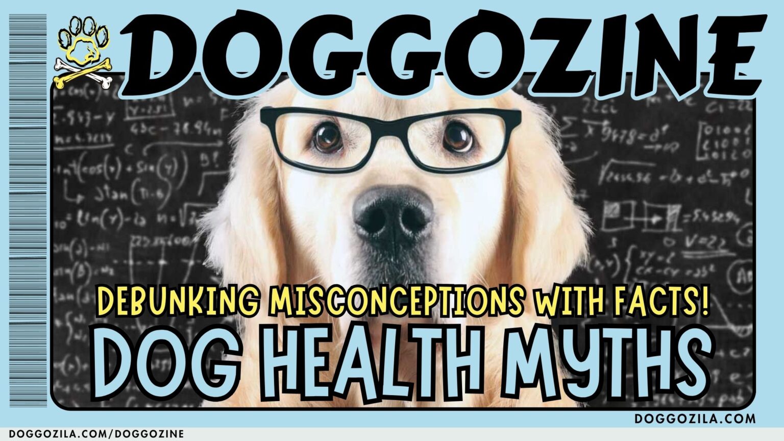 dog health myths