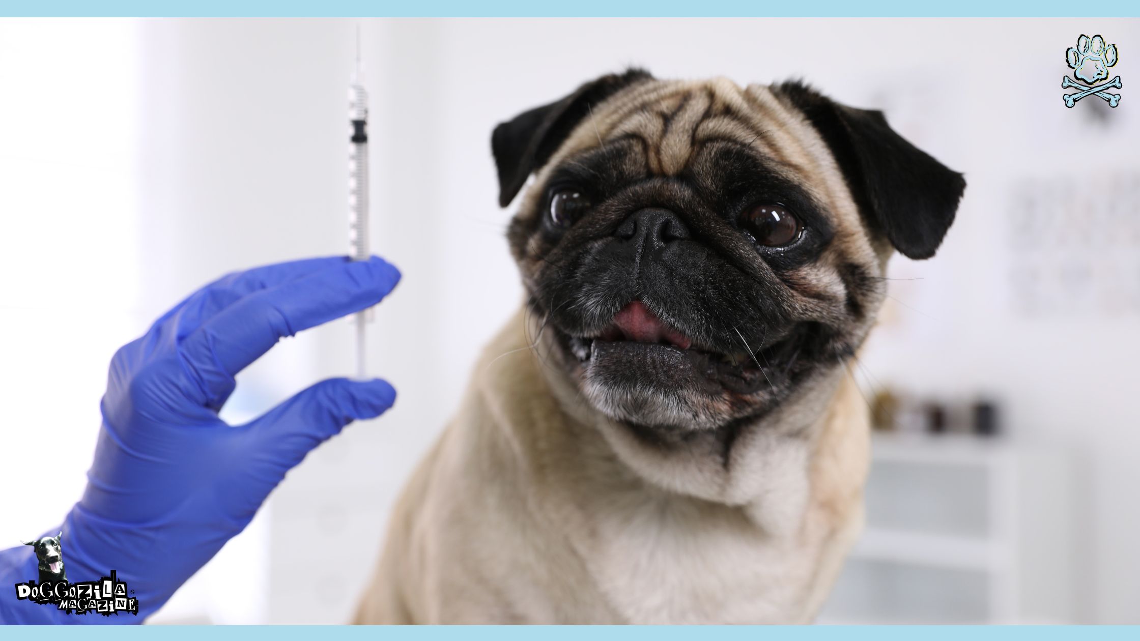 dog health myths Vaccinations