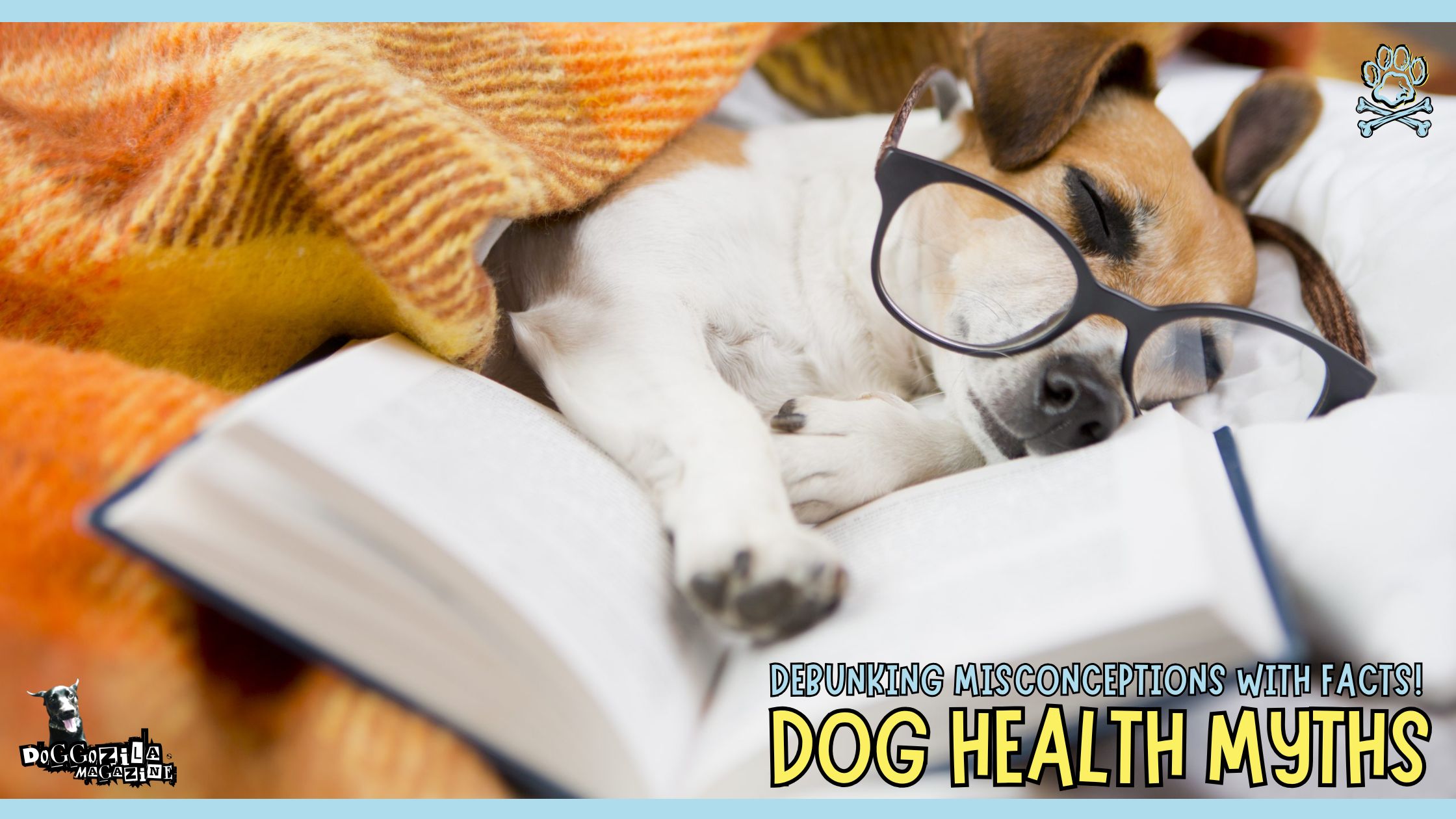 dog health myths