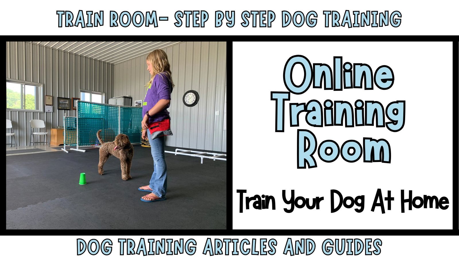 dog training room 