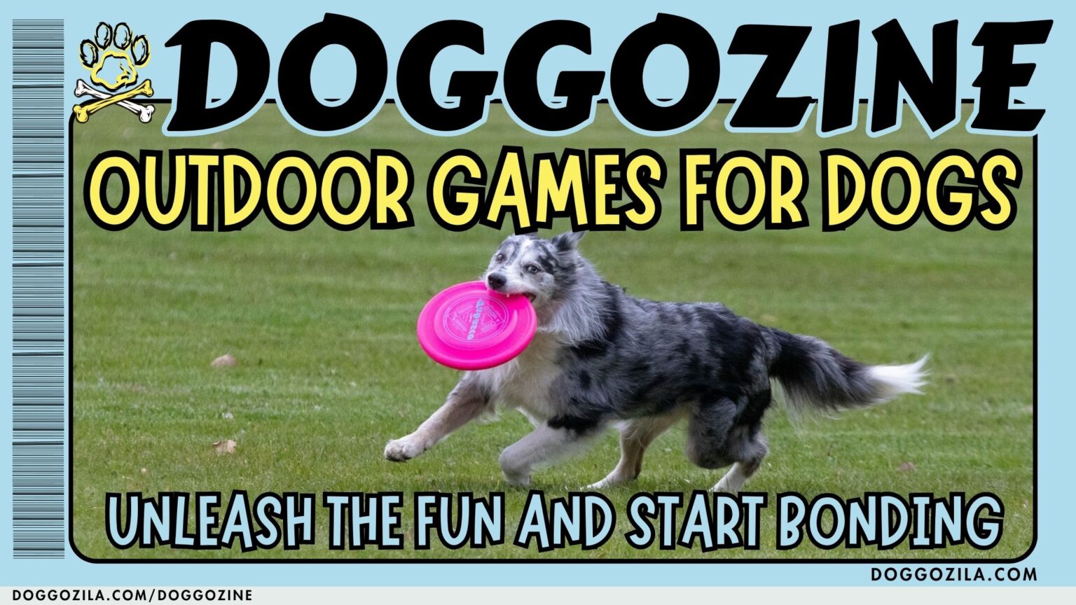 outdoor games for dogs