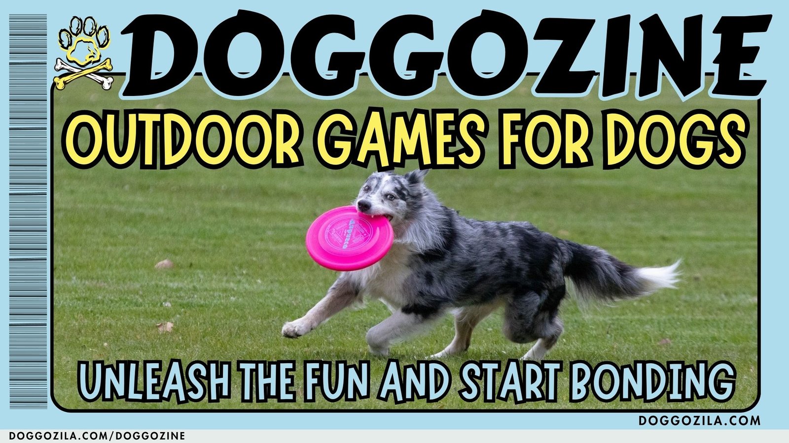 Outdoor Games for Dogs to Unleash Fun and Bonding