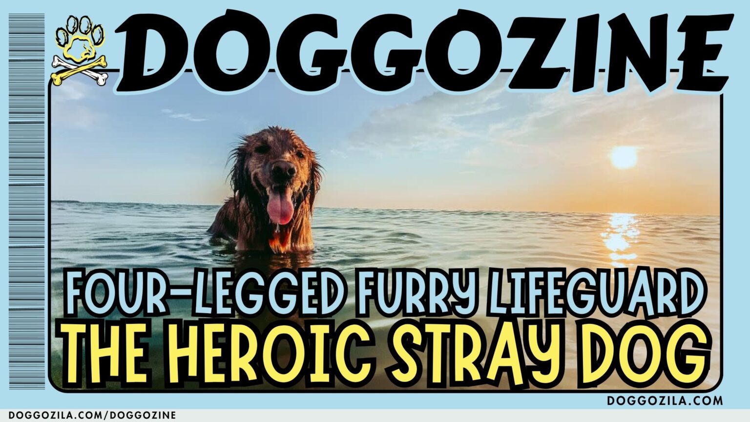 the heroic stray dog