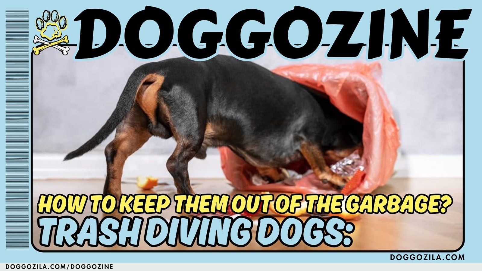 Trash Diving Dogs: Keep Them Out of the Garbage