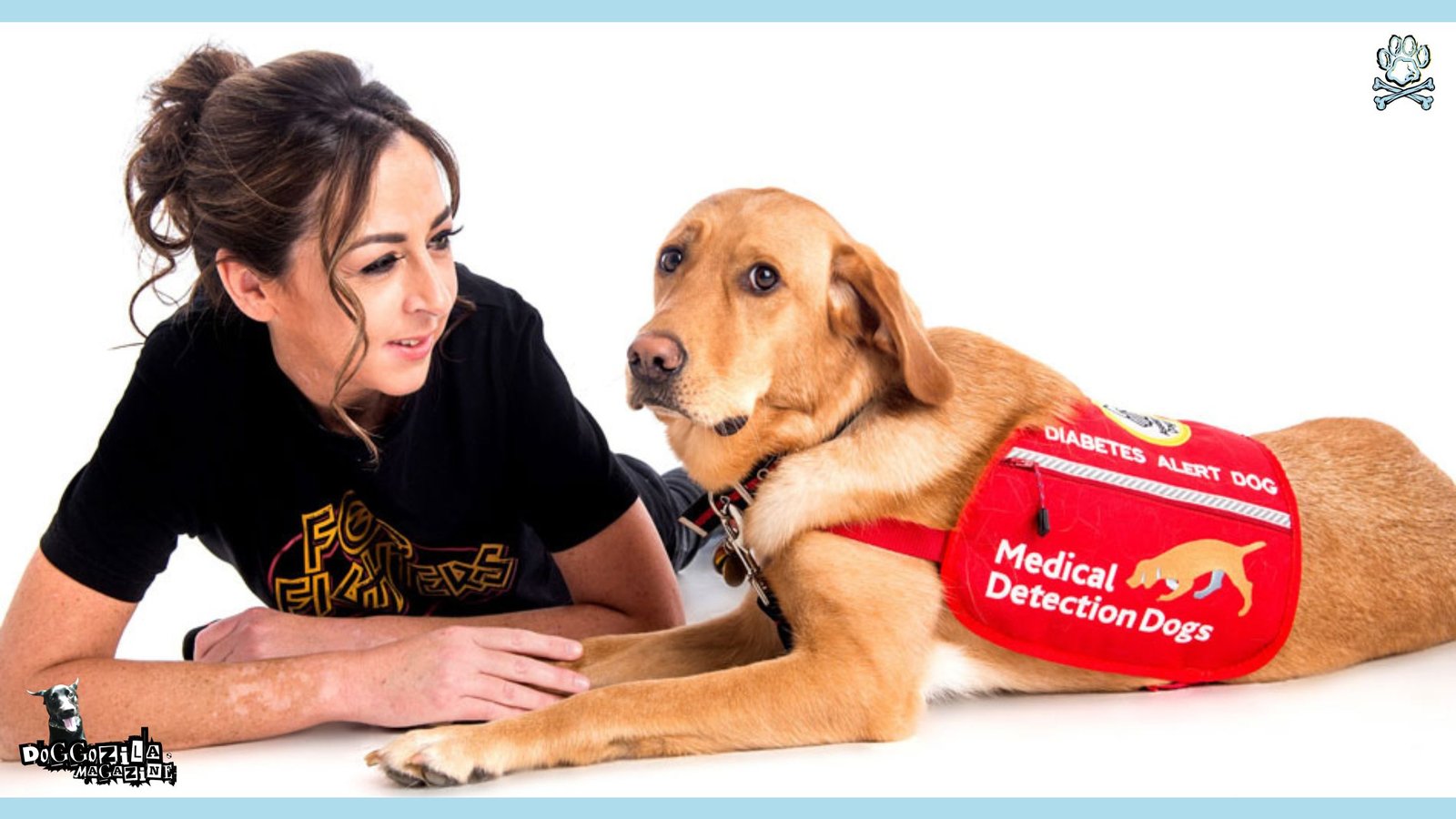 medical detection dog