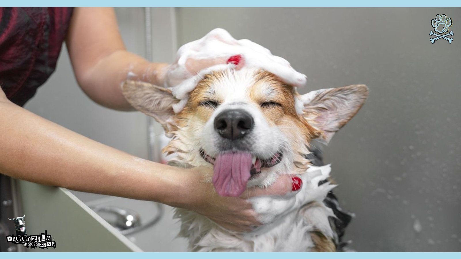 dog smiling while taking a bath