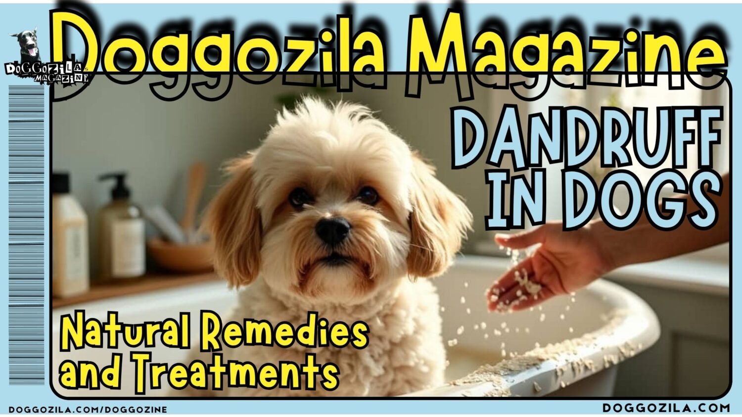 Cure for Dandruff in Dogs