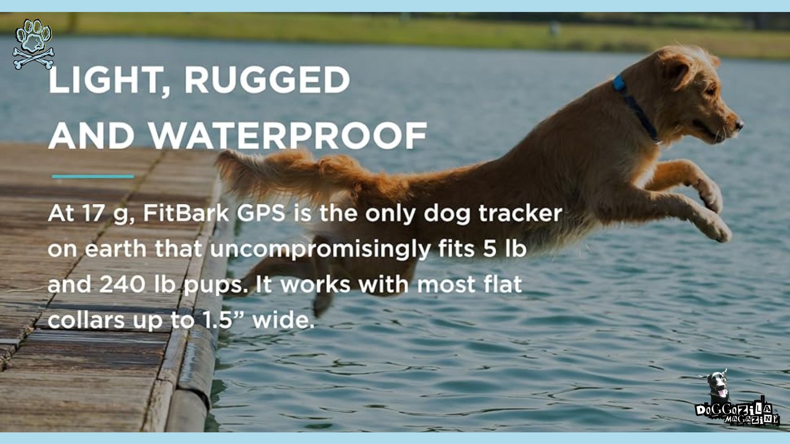 Dog GPS Trackers