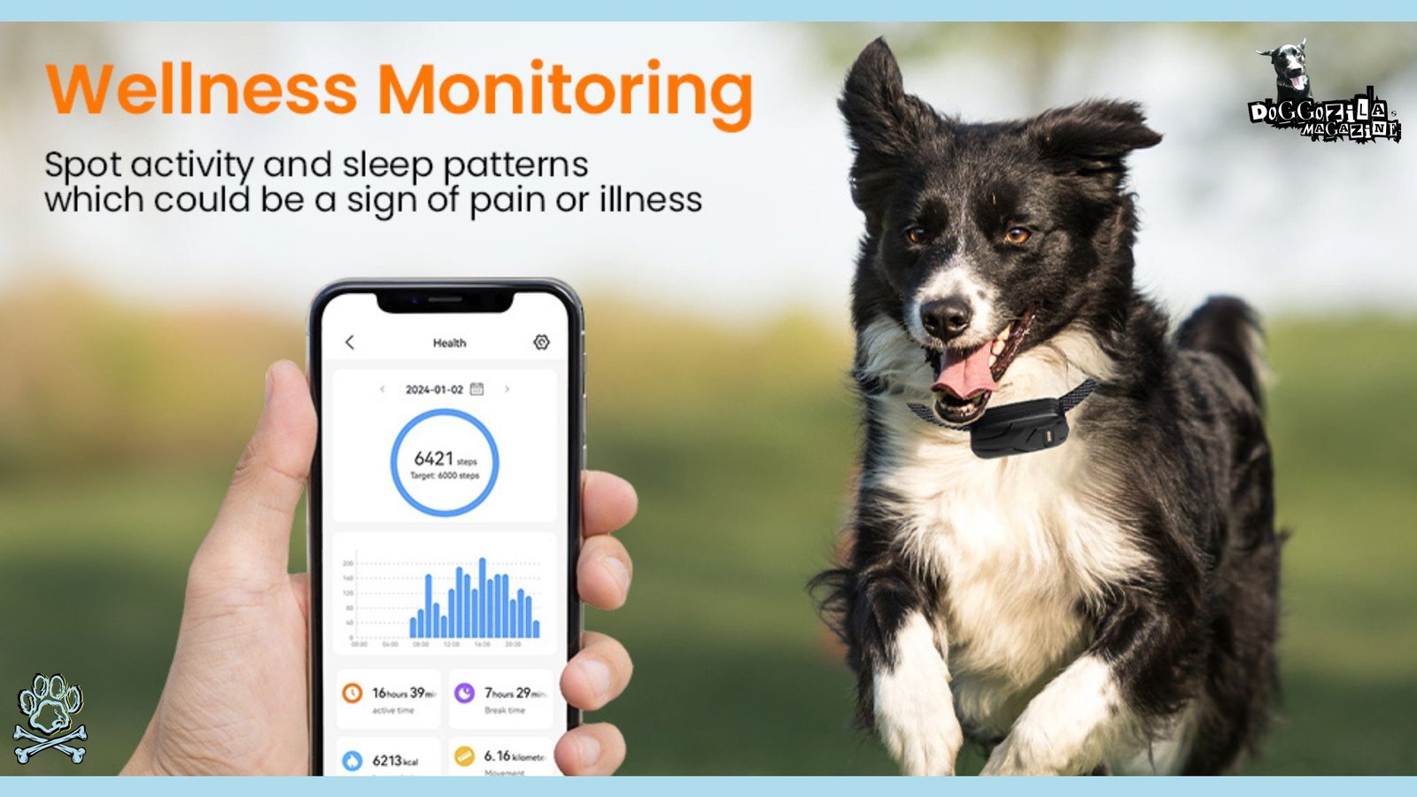 Health and wellness monitoring app