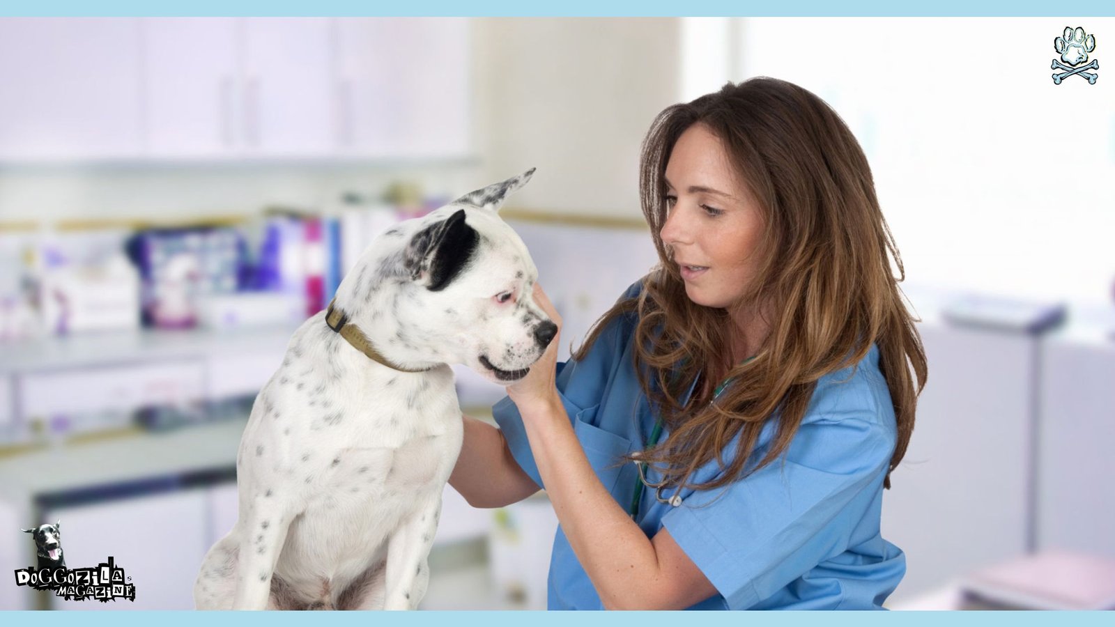 Essential Veterinary Tips