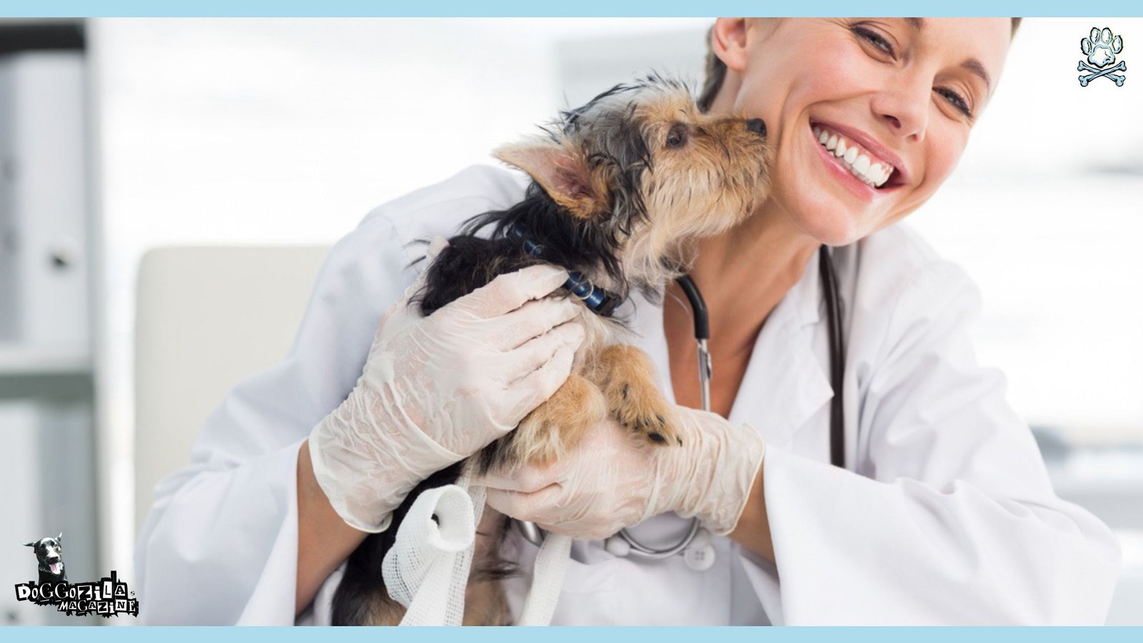 Essential Veterinary Tips