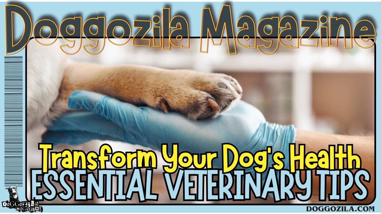 Essential Veterinary Tips