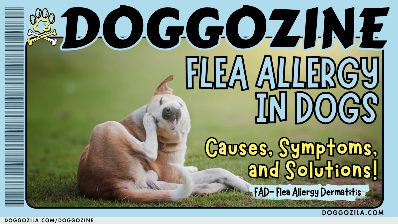 Flea Allergies in Dogs