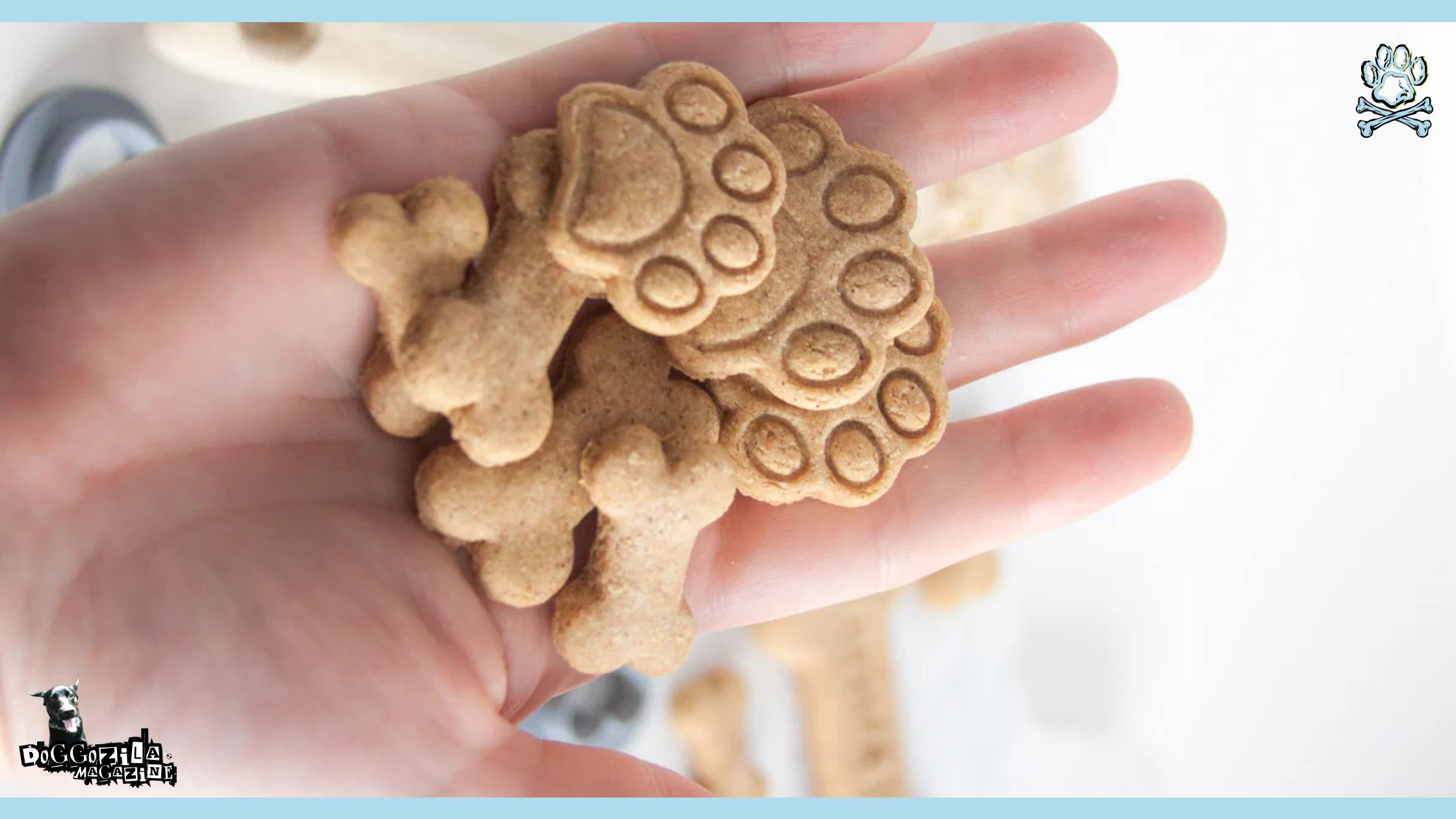 healthy dog treats