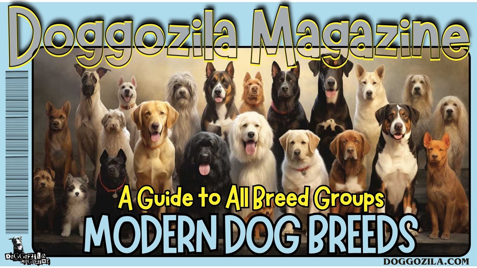 Modern Dog Breeds: A Guide to All Breed Groups