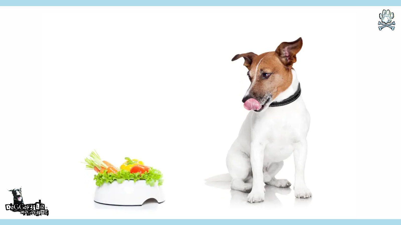 Healthy Homemade Dog Food Recipes