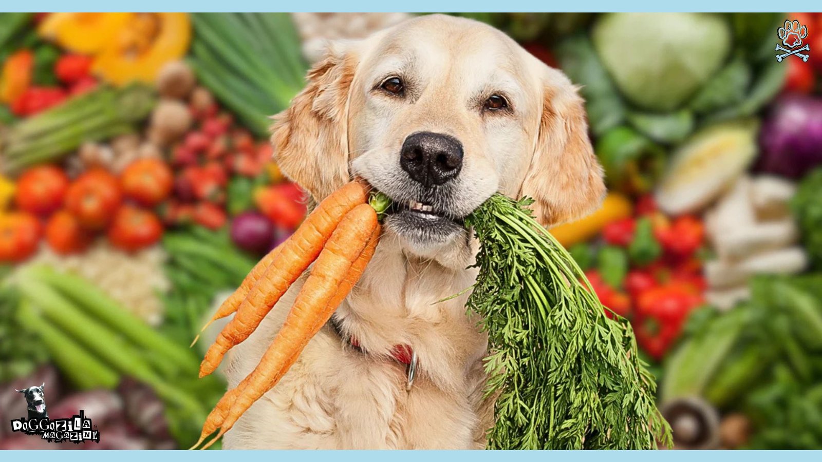 dog loves his carrots