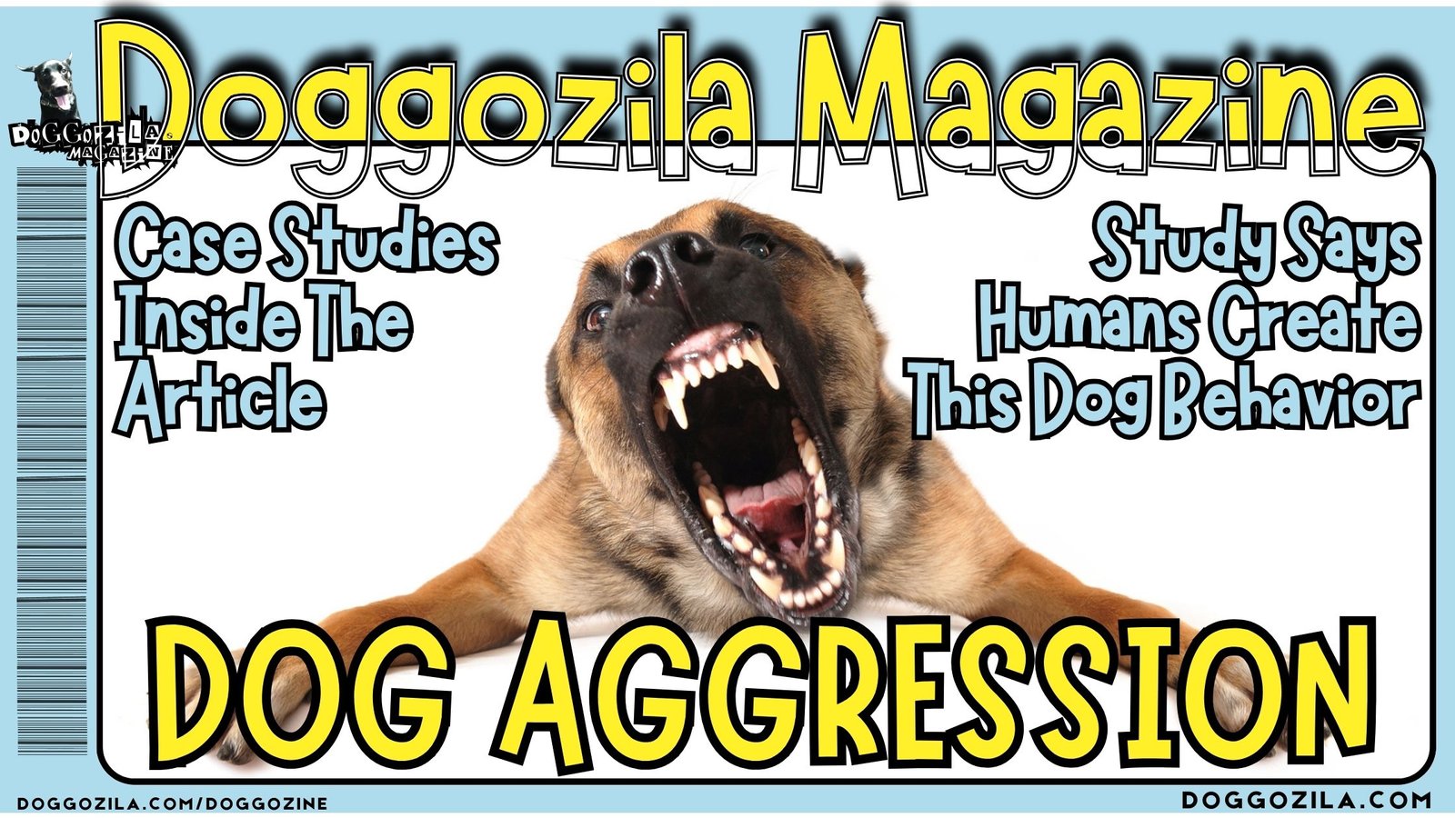 Dog Aggression: Study Shows Humans Create This Behavior