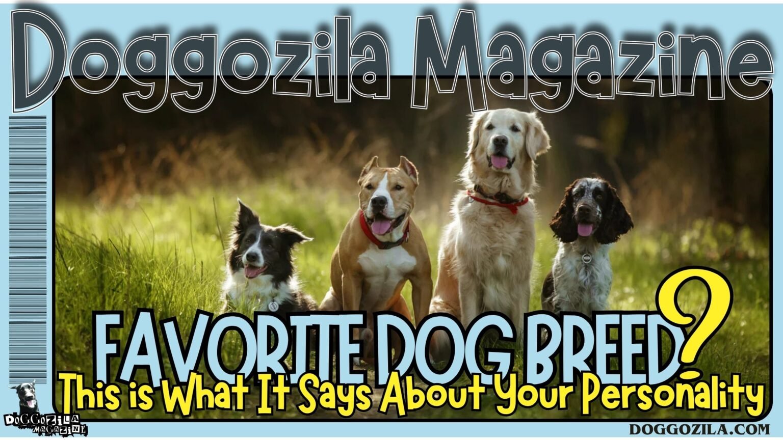 What is your favorite dog breed and what does that tell about your personality