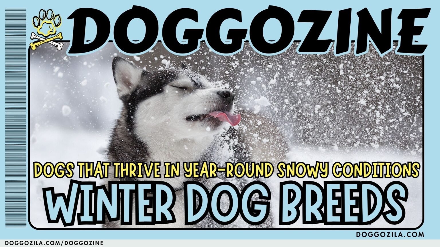 winter dog breeds