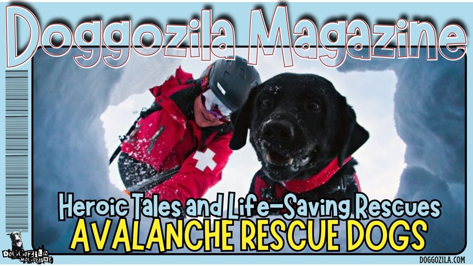 Avalanche Rescue Dogs