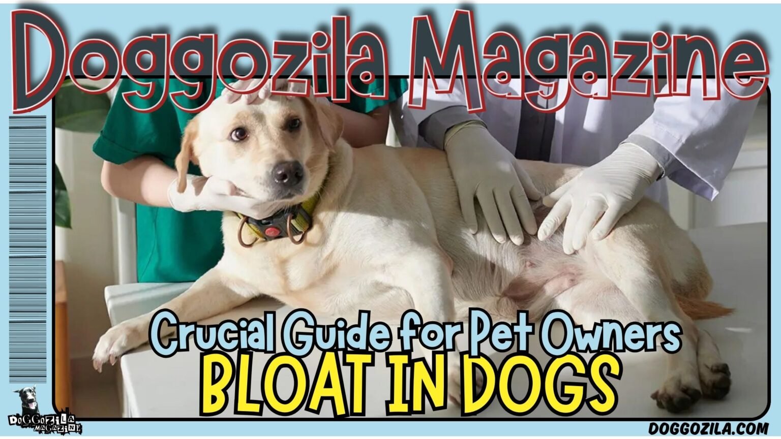 Bloat in Dogs