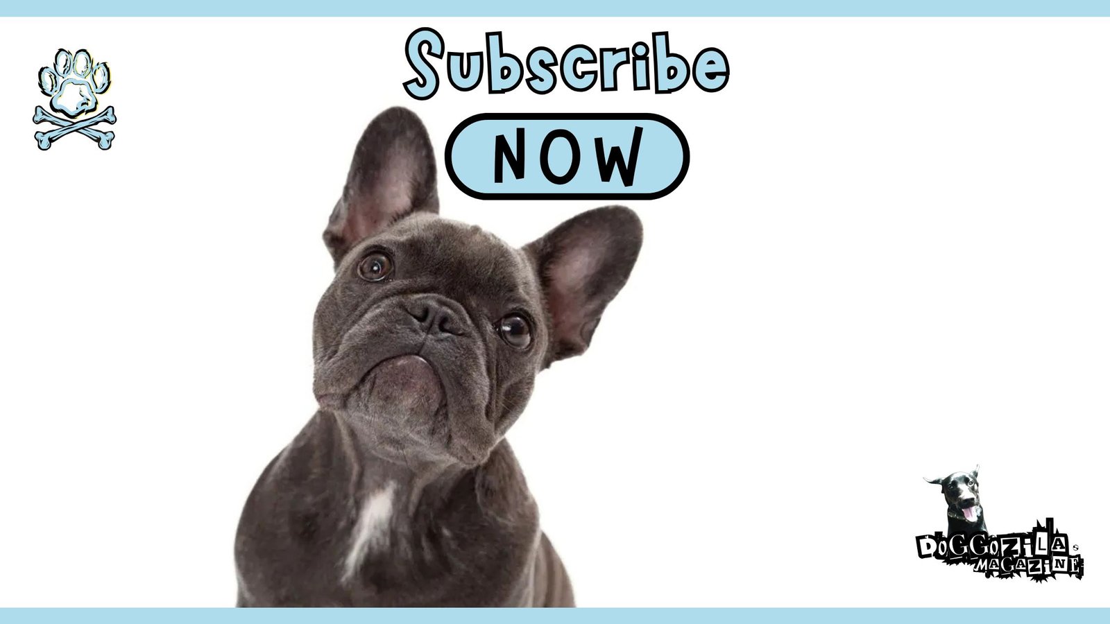 Subscribe to Doggozila Magazine