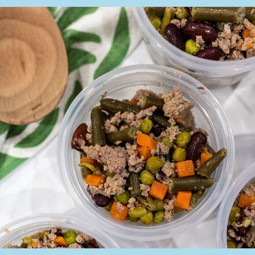 Healthy Dog Food Recipes