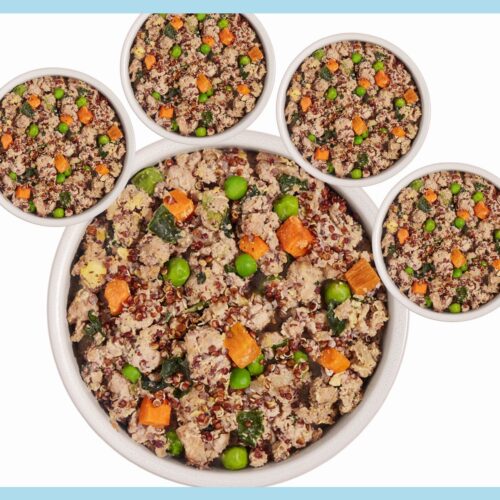 Healthy Dog Food Recipes