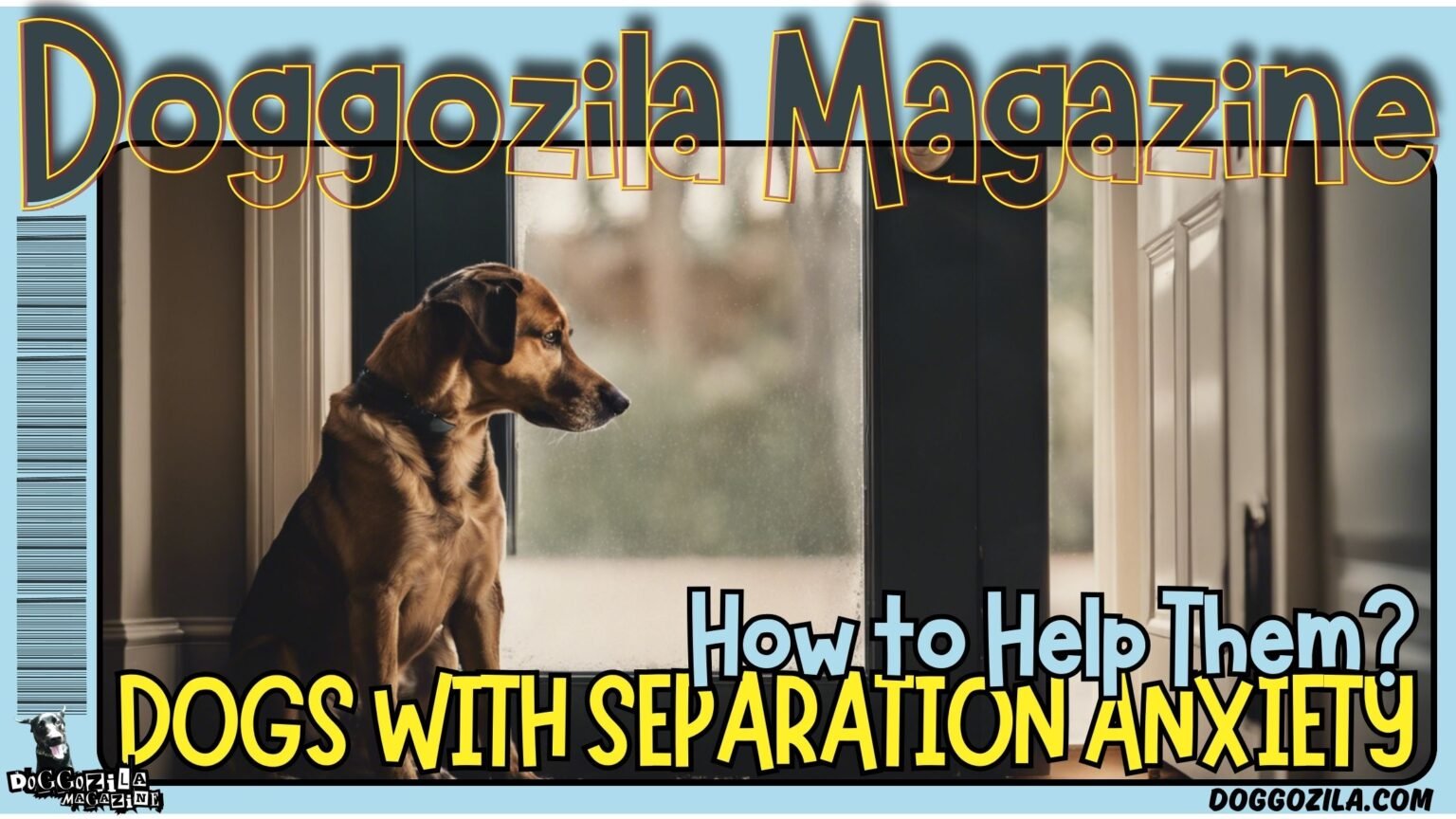 How to help Dogs with Separation Anxiety