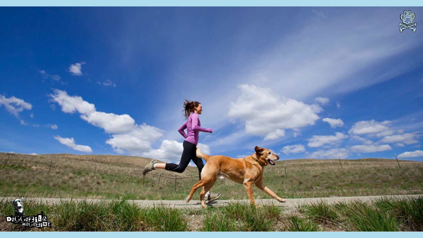 Running with Your Dog