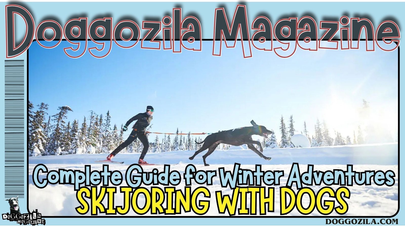 Skijoring with Dogs: Complete Guide for Winter Adventures