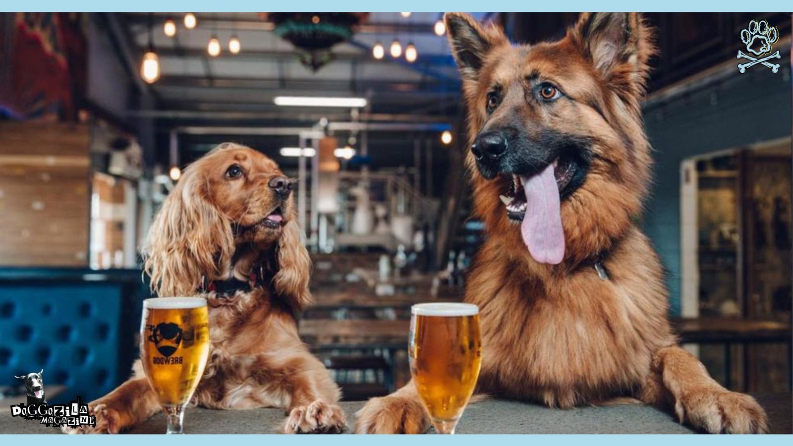 two dogs sit at the bar and drink beer