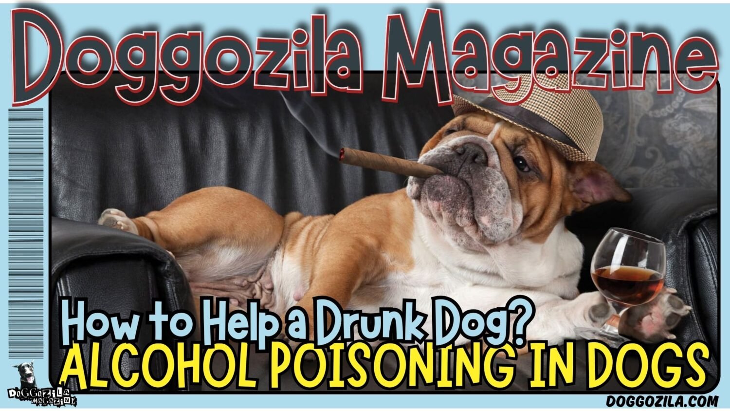 Alcohol Poisoning in Dogs