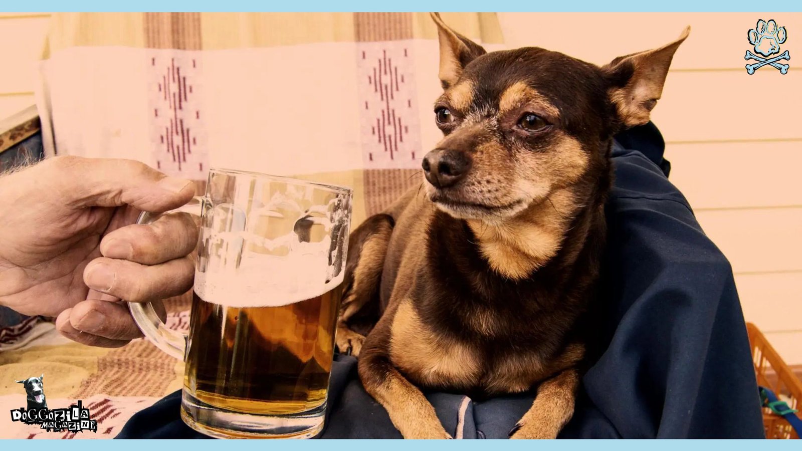 How to Help a Drunk Dog