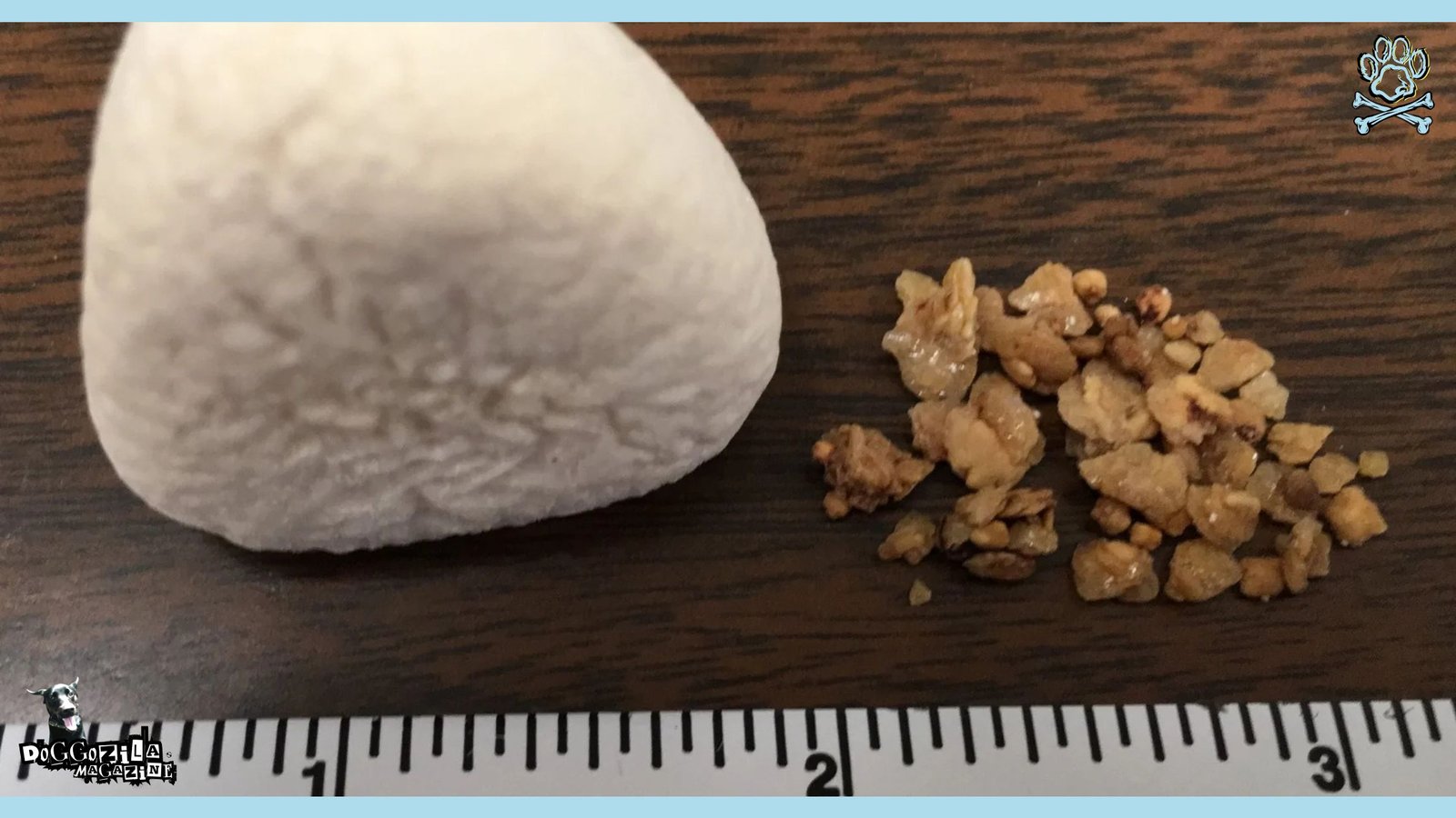 Bladder Stones in Dogs