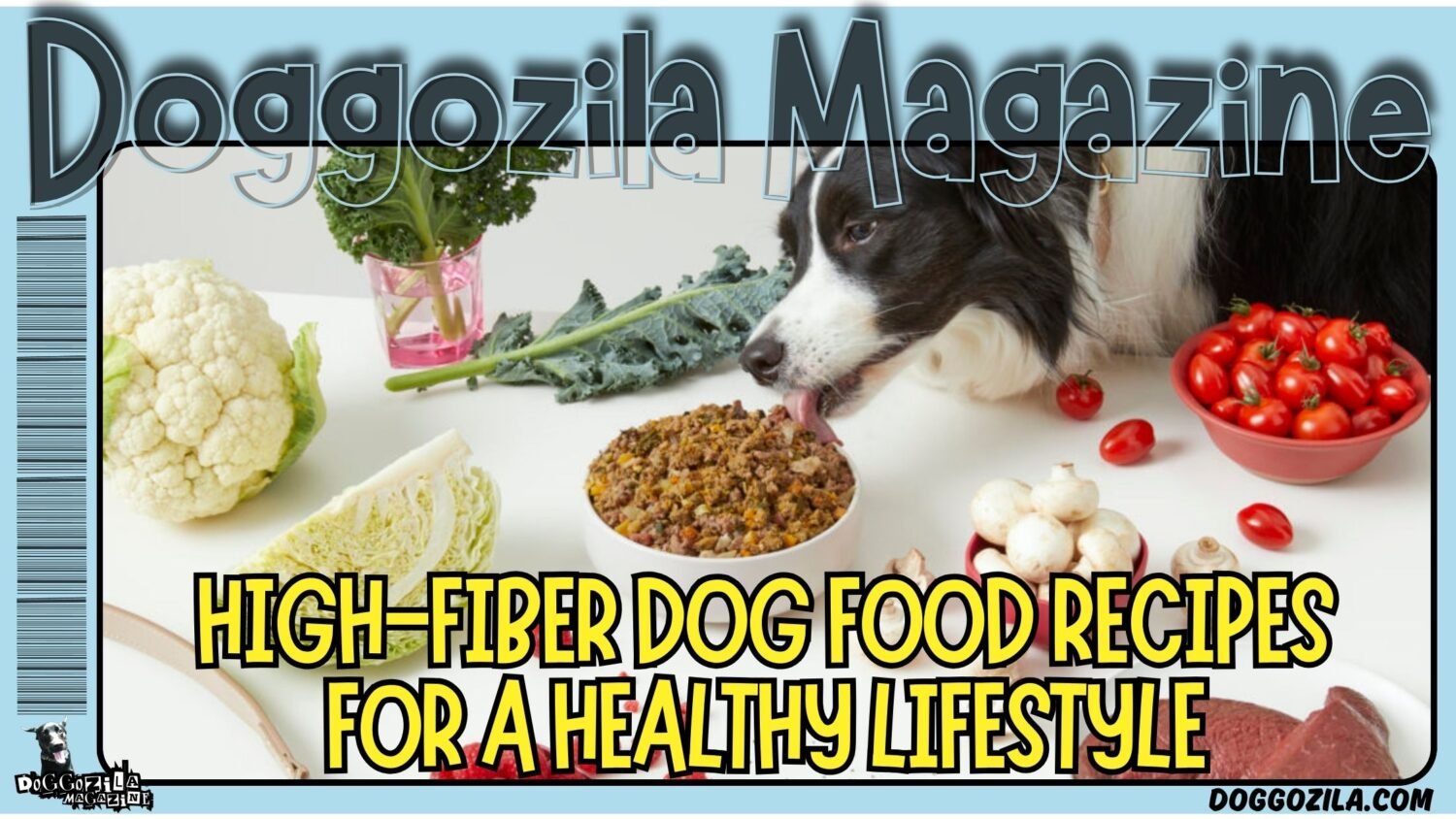 High-Fiber Dog Food Recipes