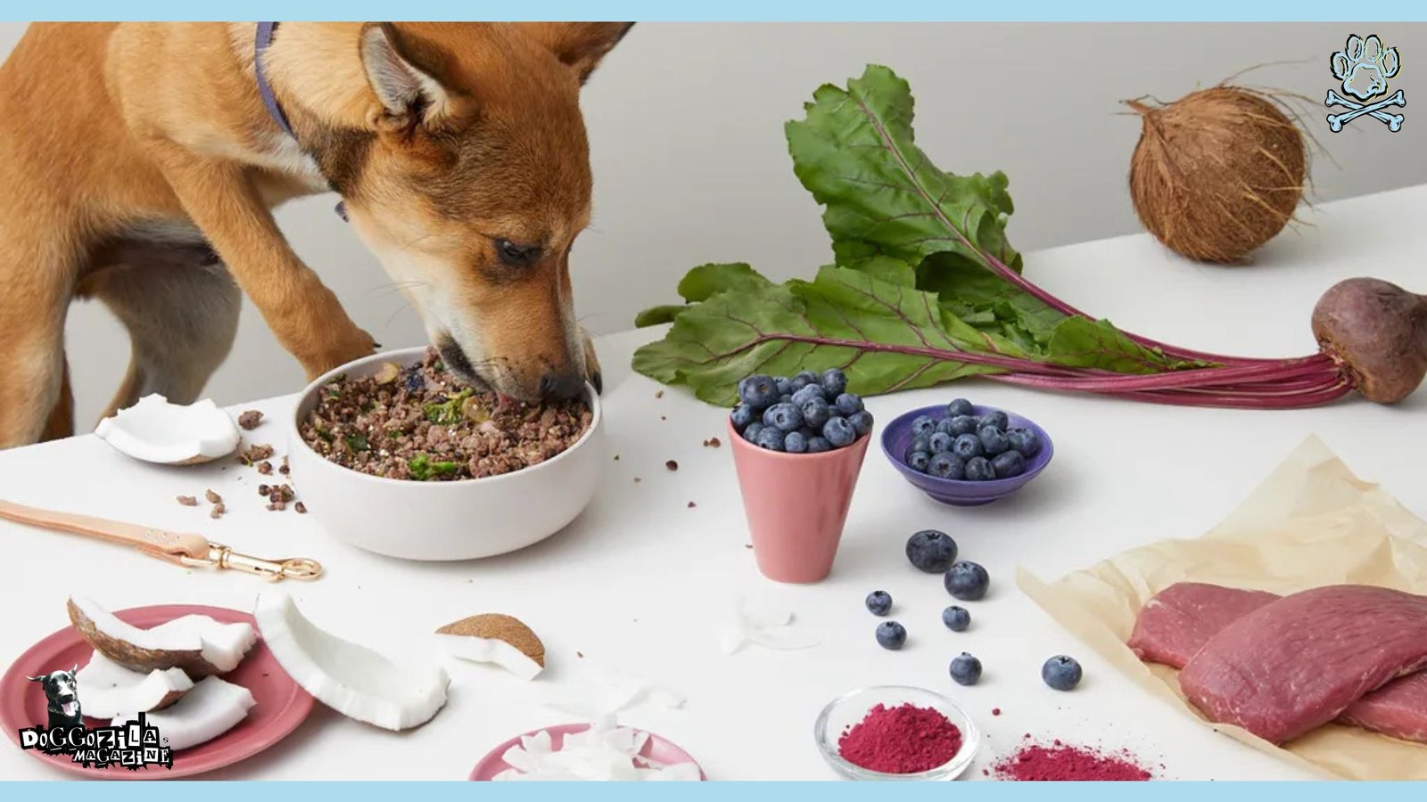 High-Fiber Dog Food Recipes