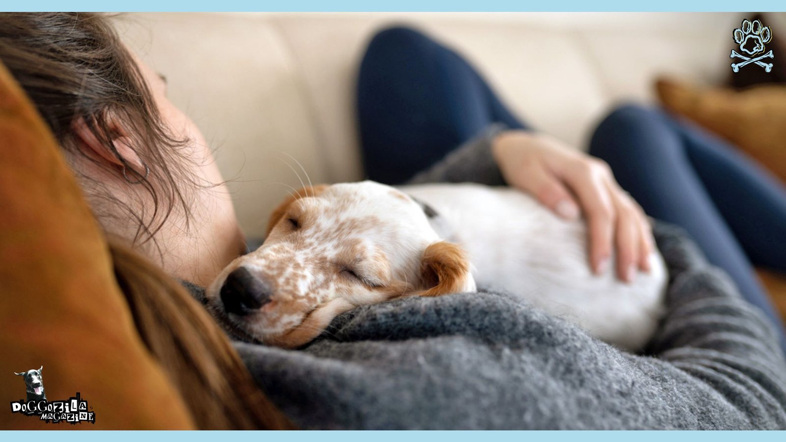 dog sleeping in his mom embrace