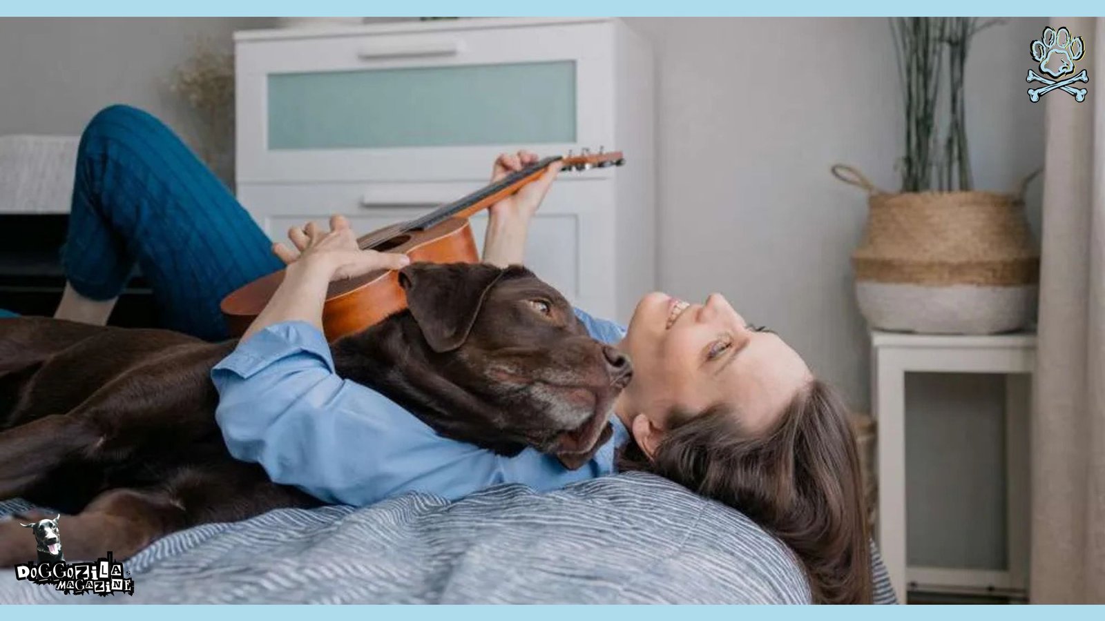 chocolate labrador listen guitar