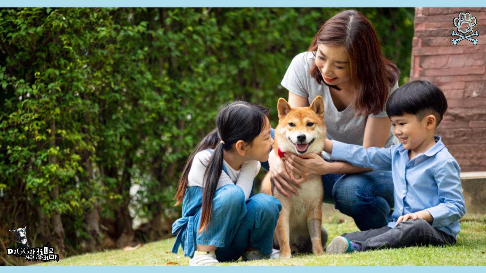 INTRODUCING FAMILY MEMBERS AND OTHER PETS