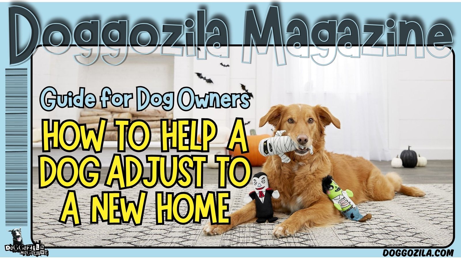 How to Help a Dog Adjust to a New Home