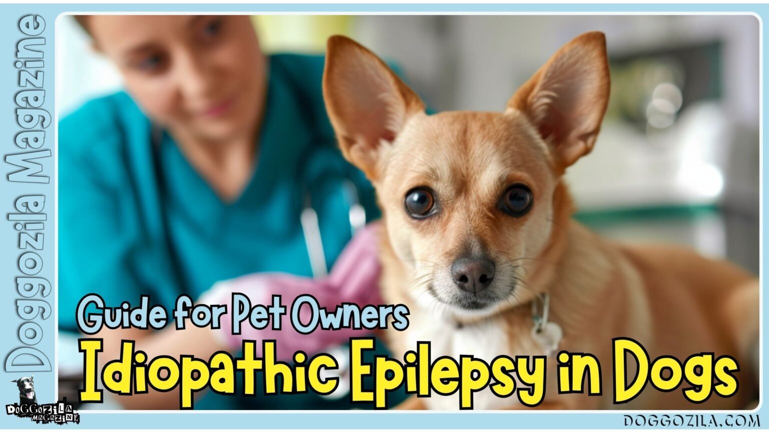 Idiopathic Epilepsy in Dogs