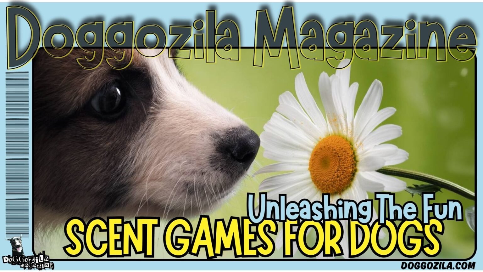 Scent Games for Dogs