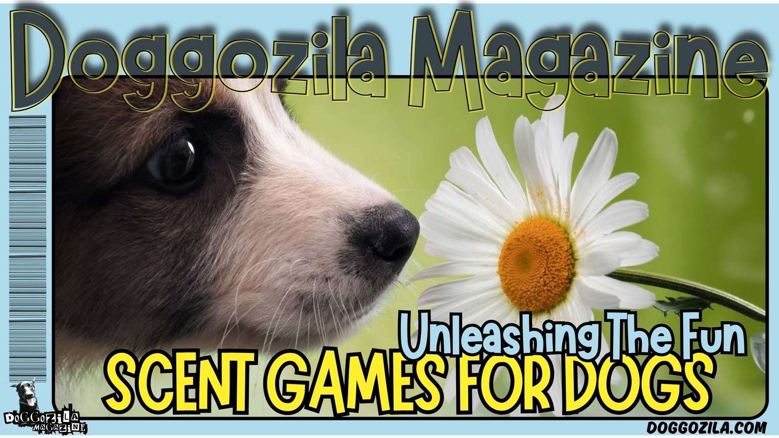 Scent Games for Dogs: Unleashing The Fun