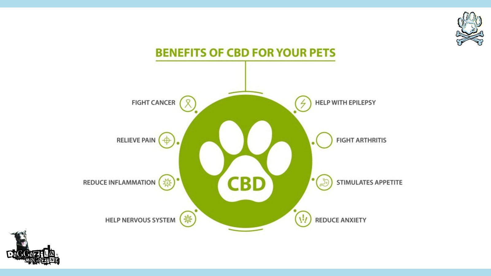 CBD Oil for Dogs