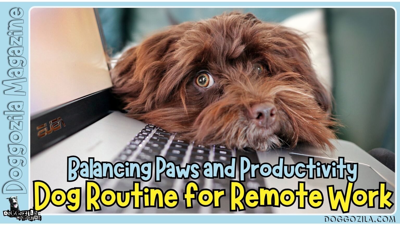 Dog Routine for Remote Work